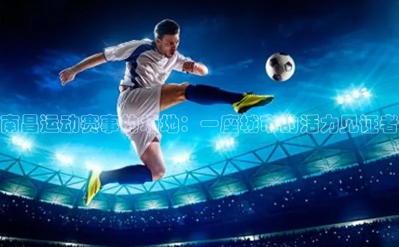 杏耀手机登录线路测速