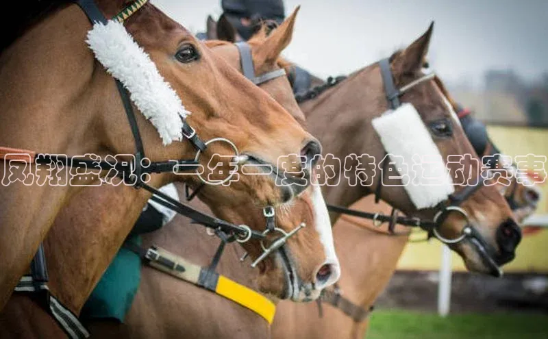 杏耀手机登录线路测速