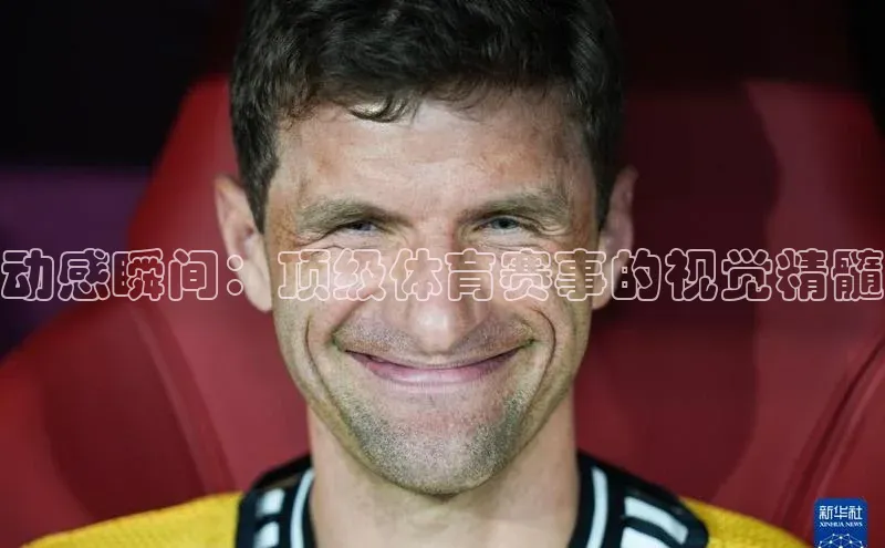 杏耀手机网页版登录