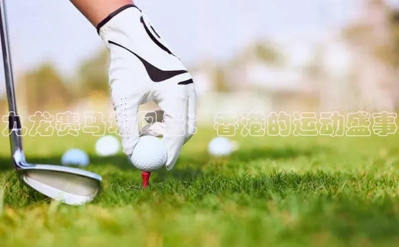 杏耀注册登录测速